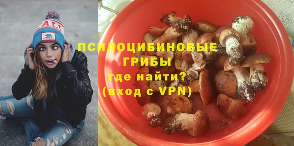 МДПВ Алзамай