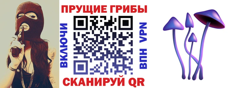 Галлюциногенные грибы GOLDEN TEACHER  наркотики  darknet наркотические препараты  Комсомольск 